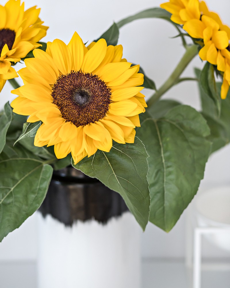 sunflowers | www.my-full-house.com | Top Scandinavian Interior and Lifestyle Blog