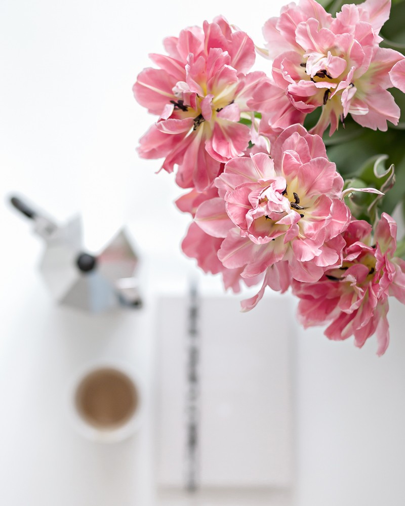 Flower madness - tulips (and tulip tips) | www.my-full-house.com | Top Scandinavian Interior and Lifestyle Blog 