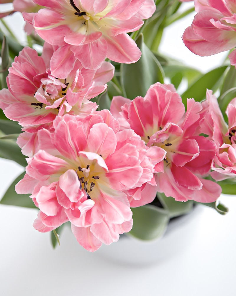 Flower madness - tulips (and tulip tips) | www.my-full-house.com | Top Scandinavian Interior and Lifestyle Blog 