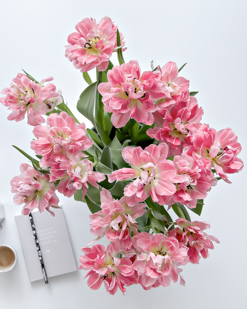 Flower madness - tulips (and tulip tips) | www.my-full-house.com | Top Scandinavian Interior and Lifestyle Blog 