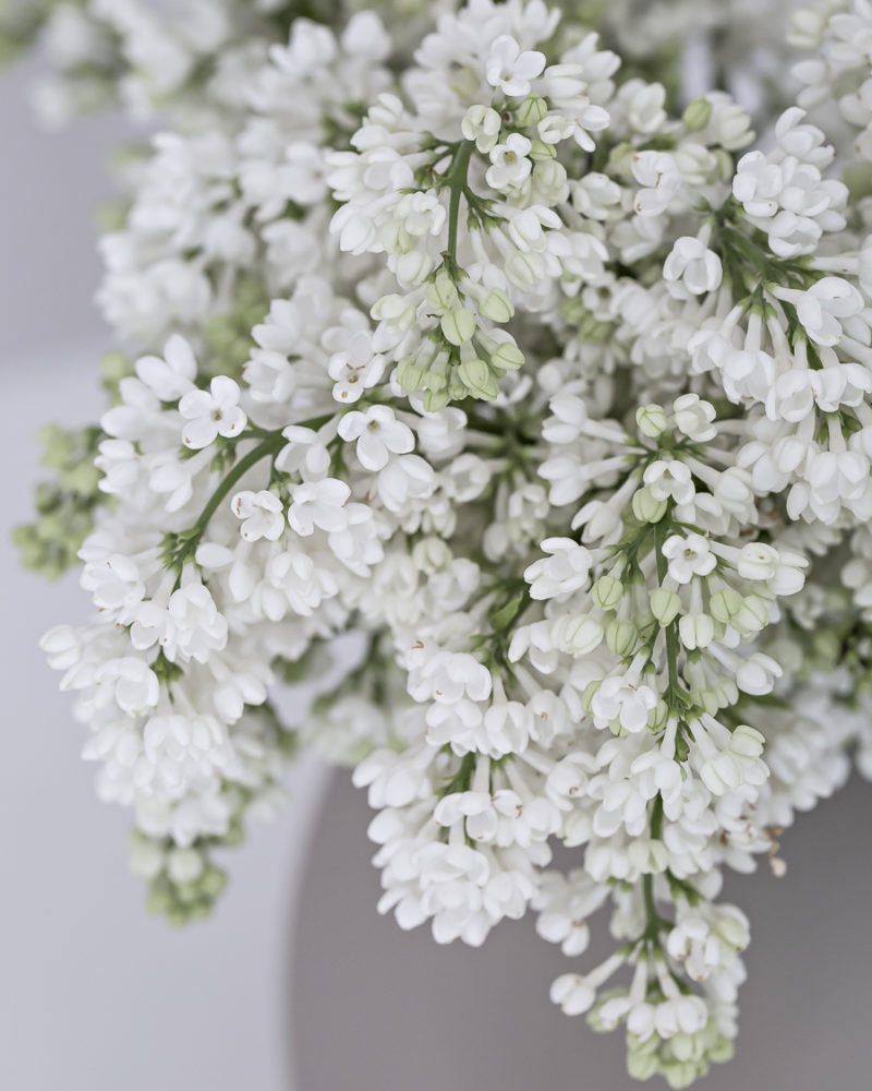 Ball Vase - weekend flowers | www.my-full-house.com 